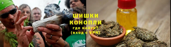 PSILOCYBIN Бронницы